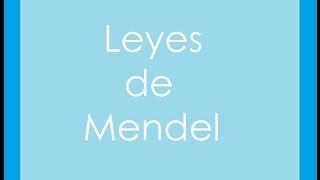 Leyes de Mendel 13 Primera Ley [upl. by Nhor]