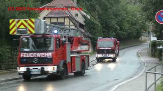 TLF 1625  DLK 2312  LF 1612 FF Greiz  4x OW KTLF  TSFW  MLF  KLFTH [upl. by Mauro]