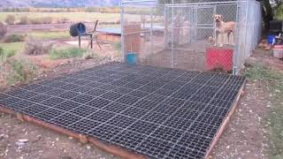 Dog Kennel Floors Using EcoGrid [upl. by Guyon442]