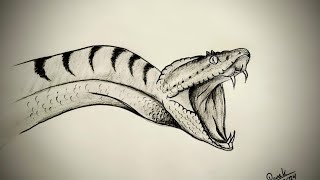 How to draw a Snake ।। Snake tutorial । Pencil drawing [upl. by Aliled]