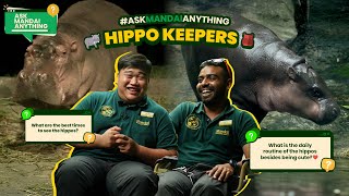 AskMandaiAnything  quotWe pick up about 150 kg to 200 kg of hippo poop a day quot [upl. by Weiler]