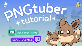 ✦ easy PNGtuber setup tutorial 🌟 OBS Streamlabs  Veadotube mini ✦ [upl. by Gold189]