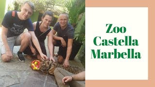 ZOO CASTELLAR FRONTERA  THE MARBELLA ANIMAL RESCUE CENTRE [upl. by Aryajay]