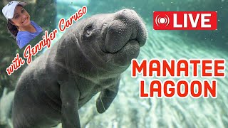 🔴LIVE Manatee Lagoon [upl. by Broderick31]