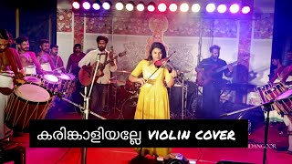 karinkaliyalle kodungallor valana pennal കരിങ്കാളി violin cover by Aparna Babu [upl. by Philo571]