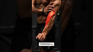 Whos up for a FOREARM workout Lets go 💪🏽 forearmsworkout forearms armworkout [upl. by Araldo]