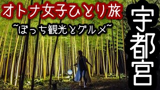 【宇都宮観光】女ひとり旅神秘的で幻想的な絶景と餃子とレトロ動物園♪ [upl. by Aivato]