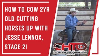 How To Cow 2yr Old Cutting Horses Up With Jesse Lennox Stage 2 [upl. by Anos968]