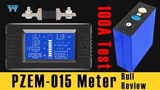 Full Review of PZEM015 PZEM 013 0200V 0300A DC Energy Voltage Current Capacity Meter [upl. by Gayelord]