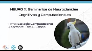 Seminarios NeuroX 5 Etología Computacional [upl. by Keldon172]