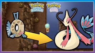 Pokémon BDSP  How To Get Feebas amp Evolve It [upl. by Trimmer]