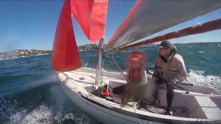 Mirror dinghy vs foiling Waszp [upl. by Archle]