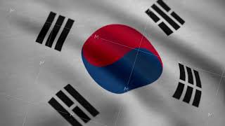 The South Korea flag waving in the wind South Korea Country flag animation [upl. by Nirok277]