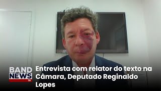 Carnes remédios e Pets  o que muda na reforma  BandNewsTV [upl. by Annasoh74]