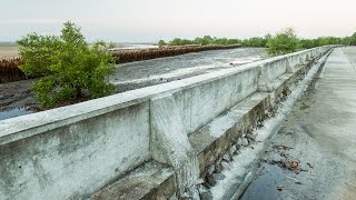 Mangroves  Reducing the Risk of Disaster through NatureBased Solutions [upl. by Brenan]