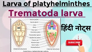 Larva of platyhelminthes Trematoda larva MSc zoology 1st semester Hindi notes [upl. by Garret]