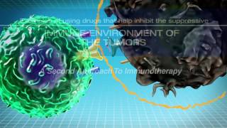 IMMUNOTHERAPY The Path to a Cancer Cure For Clinicians [upl. by Hajin285]