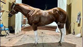 🔥El Fresa 🍓 C 3 Cruces ✞✞✞🔥 Hipodromo Tonala JAL [upl. by Wunder263]