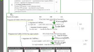 SVTexercice sur lexpression de linformation genetiqueheredité humainela getique des populations [upl. by Ailisab]