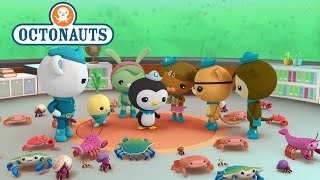 Octonauts Octopod Invasion [upl. by Tteltrab707]