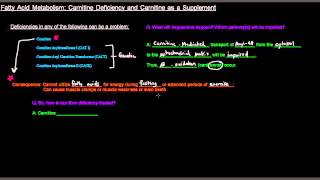 Fatty Acid Metabolism Part 4 of 8  Carnitine Deficiency and Carnitine as a Supplement [upl. by Kieger]