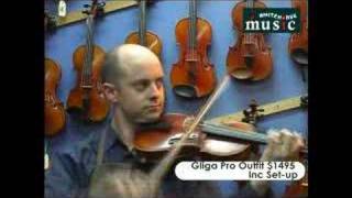 Whitehorse Music review to violins paesold 800 and gliga pro [upl. by Enaenaj]