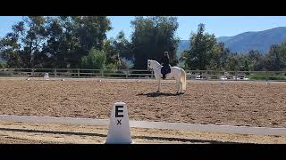 Dressage  El Campeon Working Equitation show day 1  Masters Level 7 [upl. by Ellek]