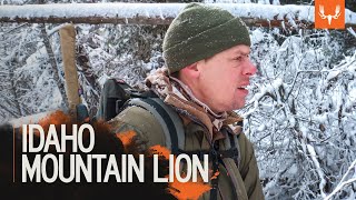 Idaho Mountain Lion  MeatEater Season 7 [upl. by Htebiram]