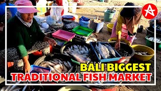 BIGGEST TRADITIONAL FISH MARKET IN BALI [upl. by Viviyan]