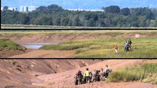 An Innovative Montage of Mudcreek Wolfville and Acadia MixUp Red and BLue DayWolfville Nova Scotia [upl. by Yllut]