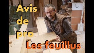 AVIS DE MENUISIER  LES ESSENCES DE BOIS  LES FEUILLUS 12 [upl. by Alleris]