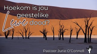 20241103 Is jou geestelike baba dood  Past Jurie OConnell [upl. by Ecnadnak]