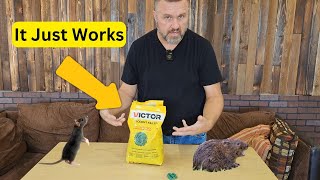 Say Goodbye to Rodents Victor M925 Rodent Killer Review – A Homestead MustHave  Victor M925 [upl. by Malan]