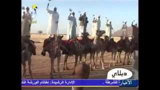 bedouin arabe aoulad malik du tchad [upl. by Dnarud]