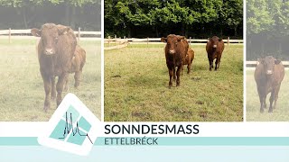 Sonndesmass vun der Foire Agricole 07072024 [upl. by Haleak]