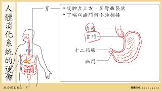 108選生三 22 消化系統1 人體消化系統一 [upl. by Trula547]