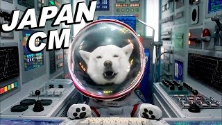 JAPANESE COMMERCIALS 2023  Special Softbank dog Midnight Sumo  ENG SUB [upl. by Branden]