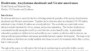 Male Vs Female Ancylostoma Caninum [upl. by Ynove289]