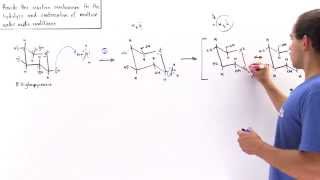 Condensation and Hydrolysis of Sugars [upl. by Arracahs]