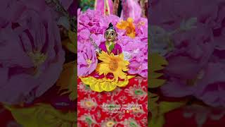 Pain killer 🌷🙏❤️comment minivlog youtubeshorts like radhakrishna gopal vlog subscribe [upl. by Grunberg]