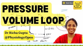 Pressure volume loop cardiac cycle  Cardiovascular Physiology mbbs 1st year [upl. by Fornof409]