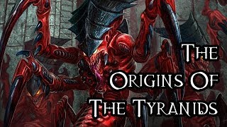 The Origins Of The Tyranids  40K Theories [upl. by Seuqram]