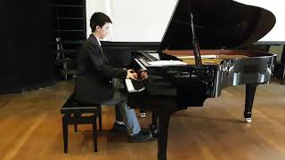 Scriabin Etude Op8 No12  Lento Patetico [upl. by Aicirt334]