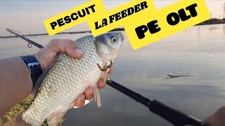 Pescuit la feeder după carasPrima partida pe Olt [upl. by Derry]