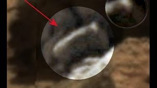 Mars • ANIMAL SPECIAL • There IS Live on Mars • Watch my Video No 43 [upl. by Harvison]