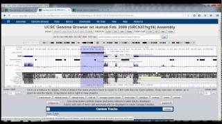 4 UCSC Genome Browser Tutorial table browser [upl. by Ahsen]