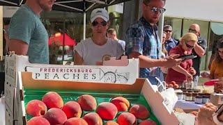 Heres where you can celebrate Fredericksburg peaches this weekend in San Antonio [upl. by Lipscomb788]