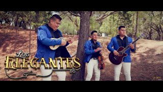 Quise Trio Los Elegantes Video Oficial [upl. by Nnairrehs]