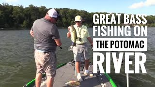 Great bass fishing on Potomac river [upl. by Ennalorac699]