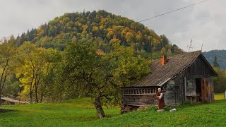 She Lives Alone in the Mountains — A Hidden Life in Stunning Isolation [upl. by Whitten]